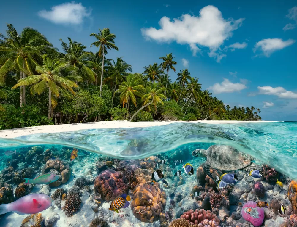 Fashion Puzzle Un Tuffo Alle Maldive, 2000 Pezzi, Puzzle Adulti Puzzle 2000 Pezzi